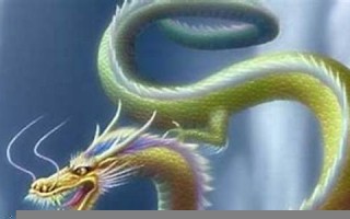 属龙女和什么属相最配(2000年女属龙配什么属相最好)