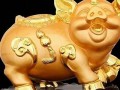 属猪(属猪的出生年份表)