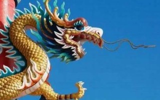 属龙男的最佳婚配(属龙男的最佳婚配属相排行)