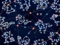 十二星座之长相(十二星座星盘查询表)