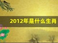 2012年是什么生肖年(2024年是什么生肖年)