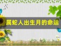 属蛇人出生月的命运(属蛇一月到十二月的命运)