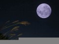 10月28(10月28日出生是什么星座)
