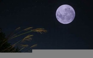 10月28(10月28什么星座的啊)