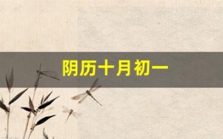 阴历十月初一(1987年10月初五阳历是多少)
