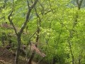 2011年11月1日(2011年11月1日贵州爆炸案)