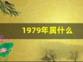 1979年属什么(1979年属什么生肖配对最好)