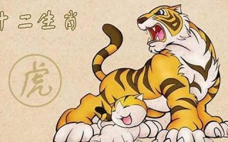 属虎和什么属相最配(属虎的和什么属相最配)
