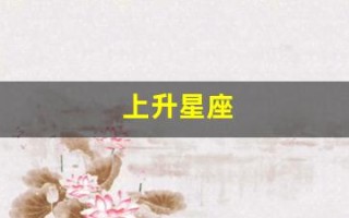 上升星座(上升星座是什么意思怎么查)