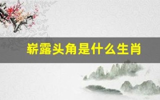 崭露头角是什么生肖(讲解词语解释落实鼠)