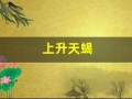 上升天蝎(上升天蝎明星)