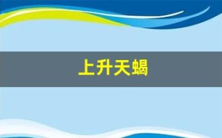 上升天蝎(上升天蝎男)