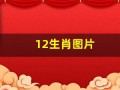 12生肖图片(12生肖图片码数49个数)