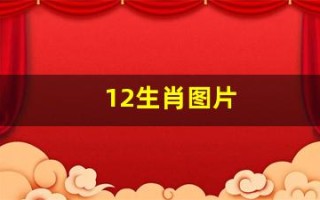 12生肖图片(12生肖图片码数49个数)