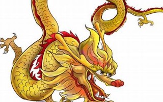 1988年属什么生肖(1988年属什么生肖年)
