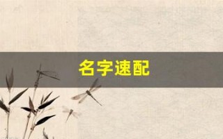 名字速配(名字速配测试结果)