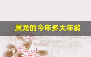 属龙的今年多大年龄(属狗的今年多大年龄)