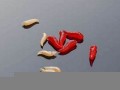 梦见蛆虫(梦见蛆虫很多是什么意思)