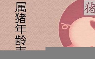 属猪今年多大年纪(属羊今年多大年纪)