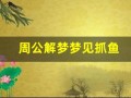 周公解梦梦见抓鱼(周公解梦梦见抓了很多鱼)