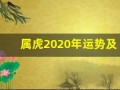 属虎2020年运势及运程(1998年属虎2025年运势及运程)