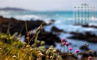 2013年10月10日黄历(2013年1月31日是什么星座)