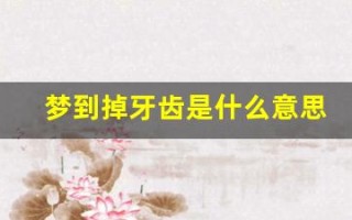 梦到掉牙齿是什么意思(总是梦到掉牙齿是什么意思)