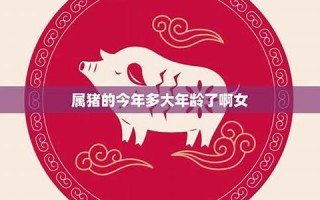 属猪的多大年龄(属猪的多大年龄2024年)