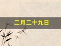 二月二十九日(农历二月二十九日)