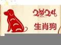 属狗2024年的运势及运程(1982属狗2024年的运势及运程)