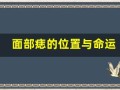面部痣的位置与命运(面部痣的位置与命运图)