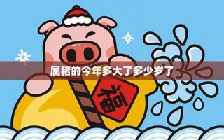 属猪的今年多少岁(属猪的今年多少岁数)