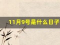 11月9号是什么日子(11月9号是什么日子导)