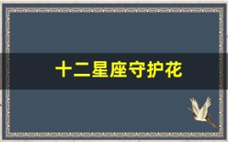 十二星座守护花(十二星座守护花图片)