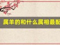 属羊的和什么属相最配(属鸡的和什么属相最配)