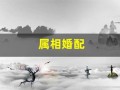 属相婚配(属相婚配十二生肖配对表)