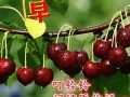 2021年7月4日黄历(2021年7月4日黄历查询)