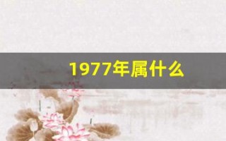 1977年属什么(1976年属什么)