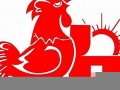 属鸡2020年运势及运程(属鸡2025年运势及运程1981年出生)