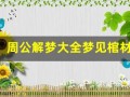 周公解梦大全梦见棺材(周公解梦梦见亲人离世是什么意思)