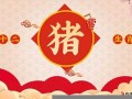 属猪人出生月的命运(属猪人出生月的命运)