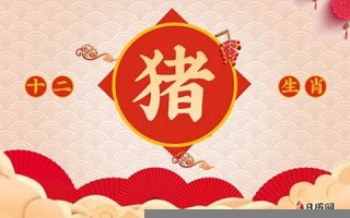 属猪人出生月的命运(属猪出生月份的运程)