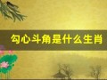 勾心斗角是什么生肖(勾心斗角是什么生肖傅雷家书优勾美句段)