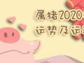 2019年属猪运势(2019年属猪男孩取什么名字好)