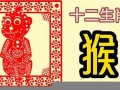 属猴2023年整体运势(属猴人2023年运势及财运)
