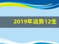 2019年运势12生肖运势(2019年各生肖运势详解)