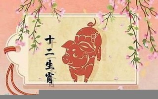 属猪人2021年运势运程每月运程(属猪人2021年运势运程每月运程开运网)
