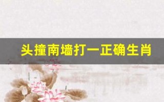 头撞南墙打一正确生肖(头撞南墙是成语吗)