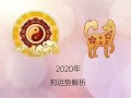 属狗2020年运势(属狗2020年运势及运程每月运程)
