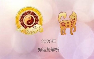 属狗2020年运势(属狗2020年运势及运程1982年出生)